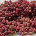 Top Quality Crimson Seedless fresh Grapes